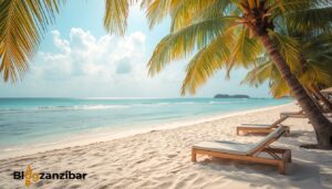 Zanzibar entdecken: Die schönsten Orte und Strände 2026