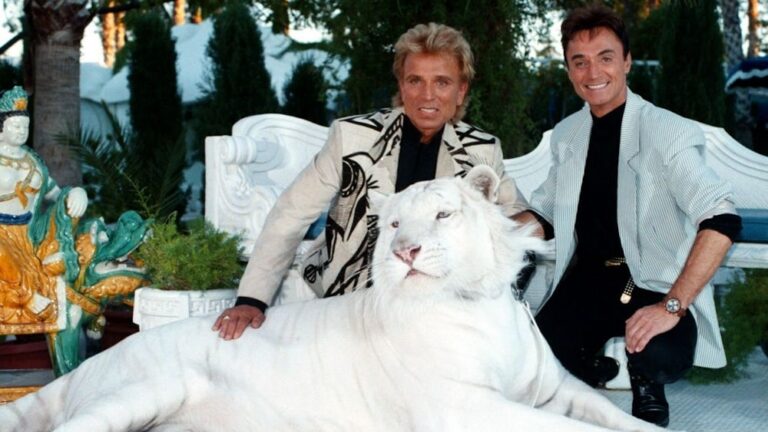 Siegfried und Roy: Die wahre Geschichte hinter dem Tiger-Angriff