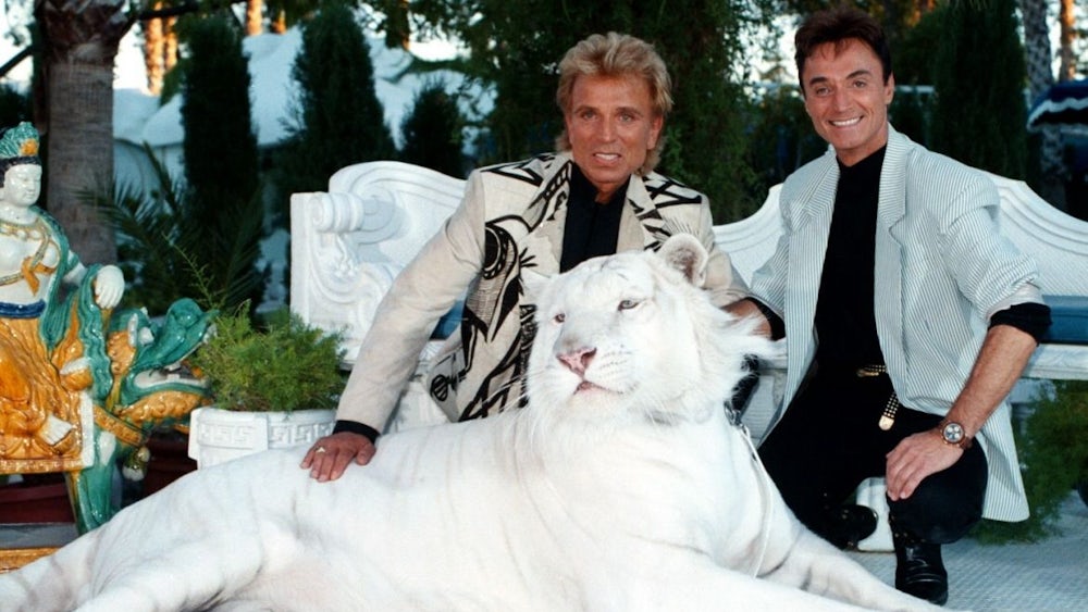 Siegfried und Roy: Die wahre Geschichte hinter dem Tiger-Angriff